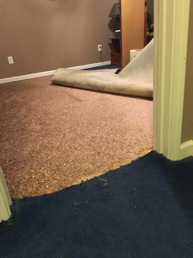 Carpet pad removal revealing water damage during Water Mitigation Services in Ridley