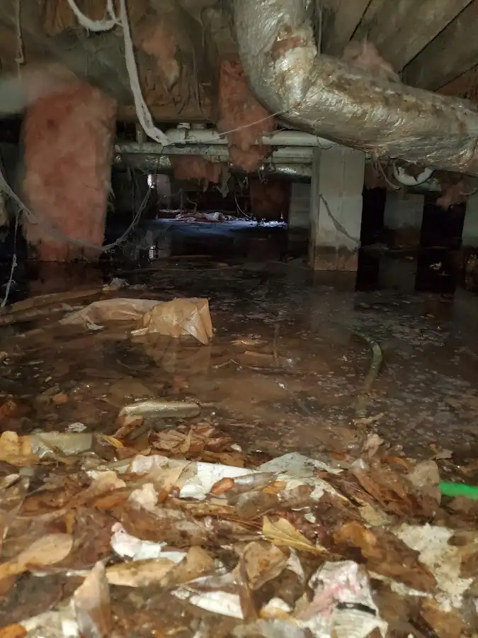 Crawl space flood assessment for Leak Detection & Repair in Ridley