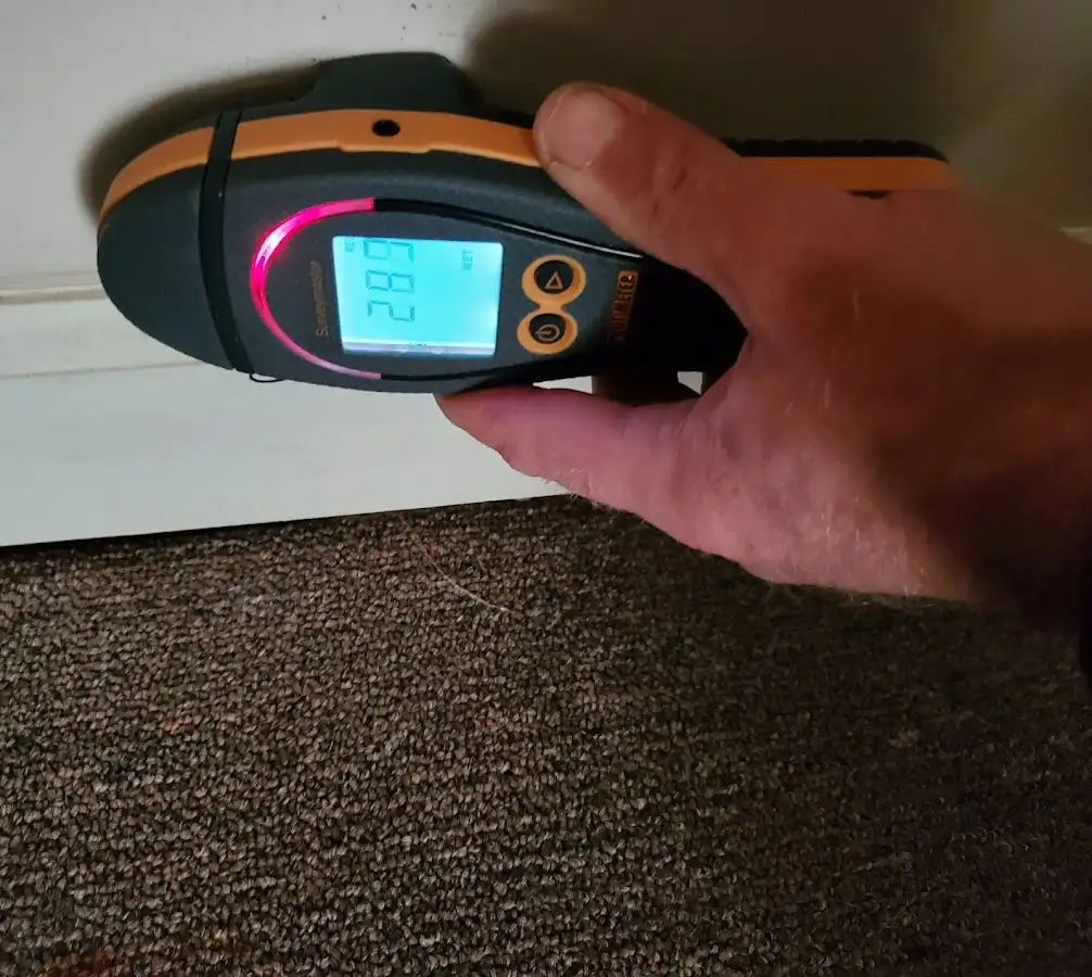 Moisture detection at baseboard during Mold Inspection & Testing in Ridley
